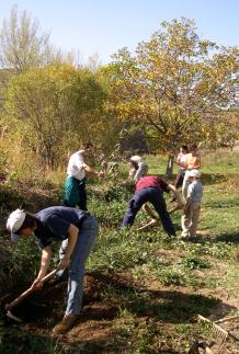 voluntarios preparándose para plantar 
                en los terrenos de Encima del Hocino en Blesa