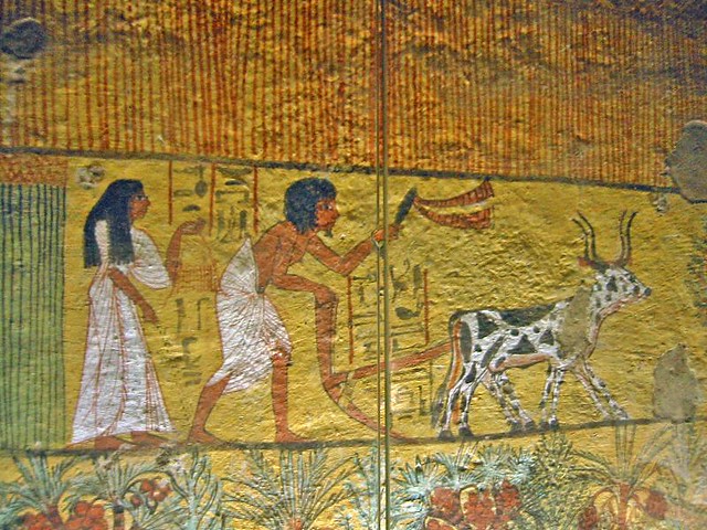 Arando con bueyes en el Egipto antiguo, con la sembradora detrás (faraones de la XIX Dinastía: Seti I y Ramsés II, alrededor del 1279 a. C)