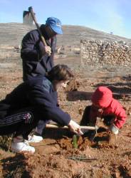 Madres y niños cavando juntos un surco que les unirá más a su tierra.