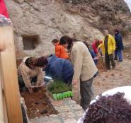 Plantando una estrecha faja de terreno en el camino del paraje del Hocino