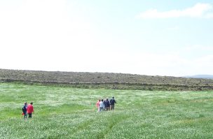 Camino a la Virgen, una cosecha estupenda