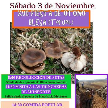 Día de las setas 2018 en Blesa