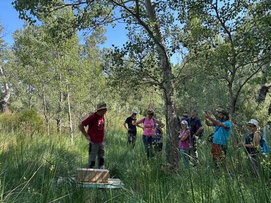 Río Aguasvivas en Huesa del Común. Asociación Río Aguasvivas Limpio. Paseo el 28 de junio de 2025. Arboleda. 