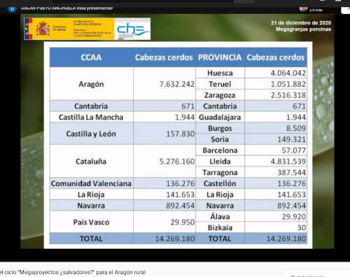 Geoforo. Debates diciembre 2020. Tabla de las cabezas de cerdos por provincias y comunidades autónomas en España