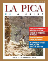 Portada del 5 numero de La Pica de Alcaine (2013)