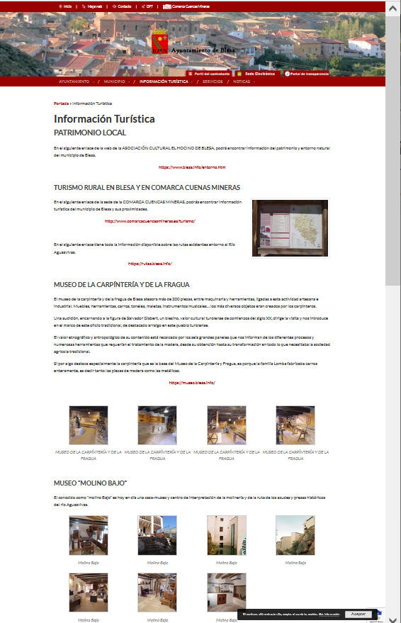 Nueva web sobre Blesa