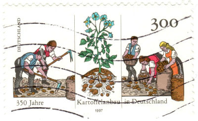 Sello de 1997 alemán dedicado al 350 aniversario de la llegada de la patata. Briefmarke 350 Jahre Kartoffelanbau in Deutschland