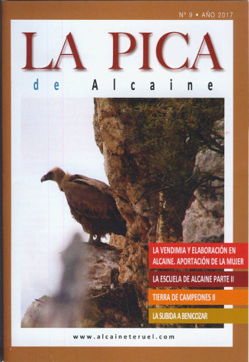 Portada La Pica de Alcaine número 9