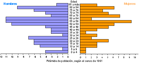 Pirámide de población, según el censo de 1991