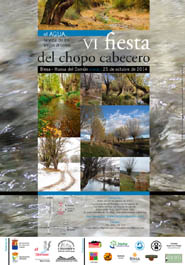 Fiesta del chopo cabecero 2014, mini cartel