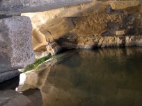 "Pureza visual", por Javier Lozano.  Patrimonio del río Aguasvivas
