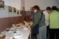 Momento de la exposición de setas. Foto de Helena Sanz