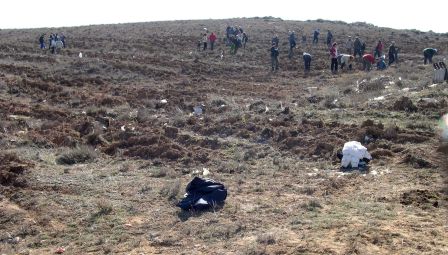 La antigua escombrera, un futuro pinar donde habitarán pájaros y  predadores