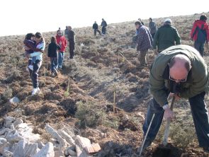 Una nueva área de plantación 