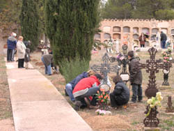 Nuevos cipreses en el cementerio