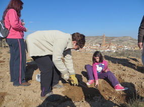Próxima fiesta del árbol en Blesa (Teruel)