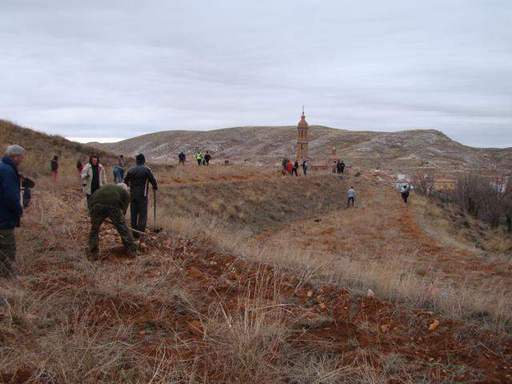 Fiesta del árbol 2014.