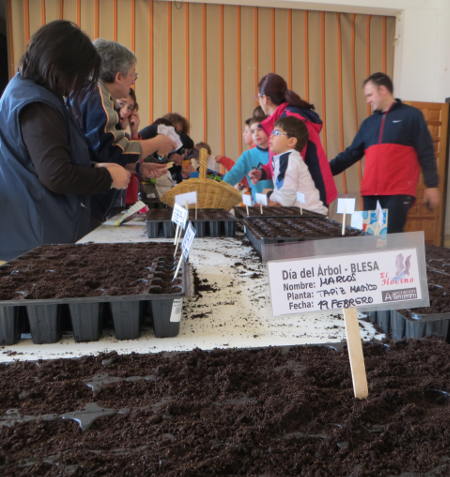 Fiesta del árbol en Blesa 2017