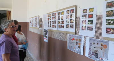 Día de las setas en Blesa (Teruel)