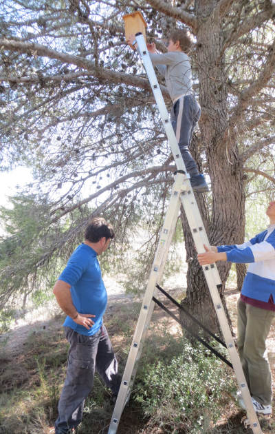 Día del árbol en Blesa, Teruel, 2019