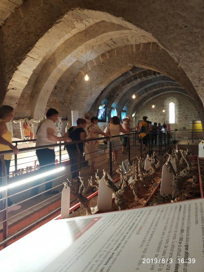 Blesa (Teruel). Viaje turístico guiado al monasterio de Piedra (Zaragoza). Actividad A.C. El Hocino