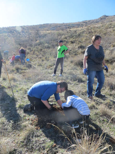 Fiesta del árbol en Blesa 2020.