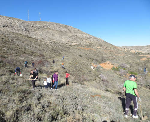 Fiesta del árbol en Blesa 2020.