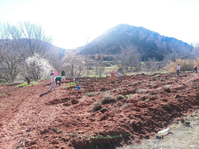 Fiesta del árbol en Blesa 2020.