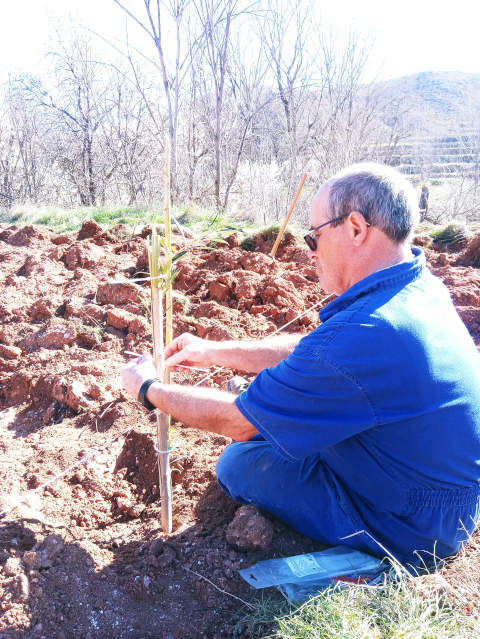 Fiesta del árbol en Blesa 2020.