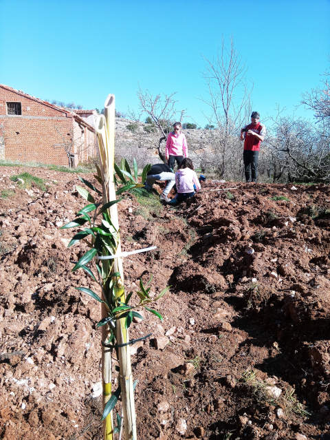 Fiesta del árbol en Blesa 2020.