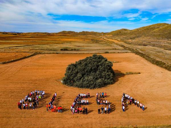Día de la carrasca del Carrascal de Blesa, 29 octubre 2022. Árbol singular.