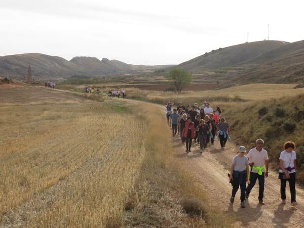 Día de la carrasca del Carrascal de Blesa, 29 octubre 2022. Árbol singular.