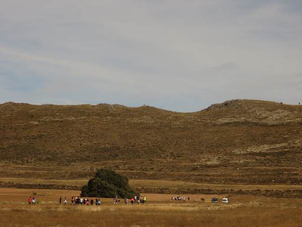 Día de la carrasca del Carrascal de Blesa, 29 octubre 2022. Árbol singular.