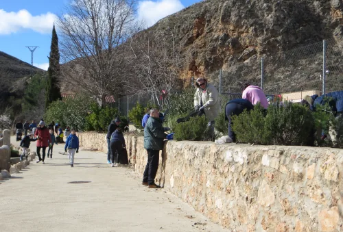 Día del árbol. Blesa, Febrero 2024.
