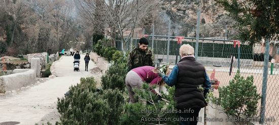Día del árbol en Blesa 2025