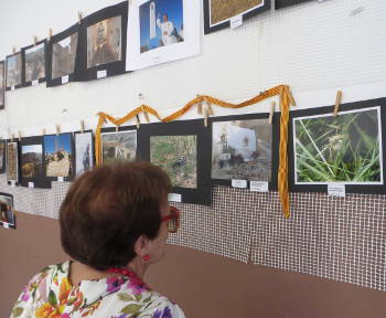 Blesa fotografías 2015