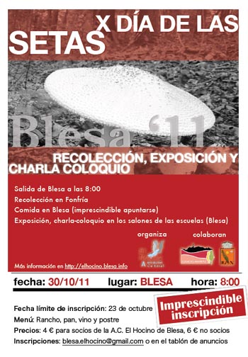 Cartel del X día de las setas