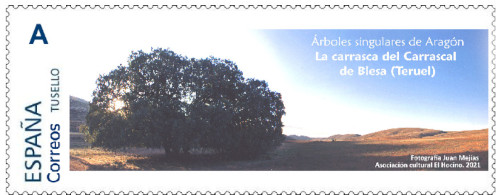 Boceto provisional Tu Sello Blesa 2022 la carrasca, árbol singular