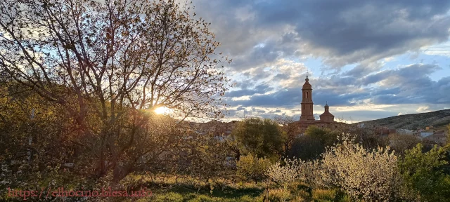 Ganadora del concurso de fotografía de Blesa (Teruel) de 2025, foto de Victoria Garcés, abril 2025