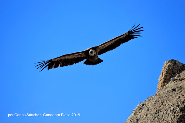 Fotografía de Carlos Sánchez