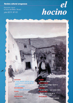 Portada del próximo número de El Hocino