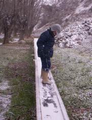 Bebederos helados, tras la nevada del fin de semana de S. Valero. Foto de Miguel Ángel Magallón