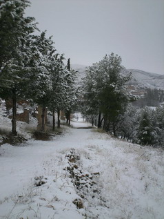 Primera nevada de 2012 en Blesa.  Fotografía tomada por Gerando y publicadas en el grupo de Blesa en Facebook