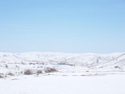 Blesa nevada