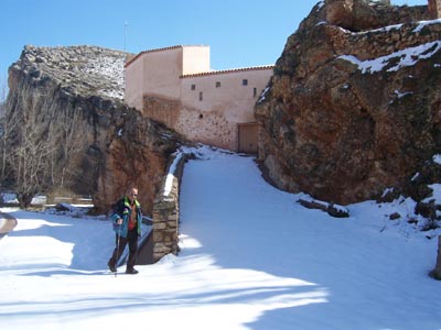 Blesa nevada