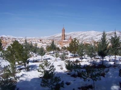 Blesa nevada