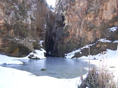 Blesa nevada