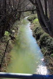 El Aguasvivas bajo el puente de entrada a Blesa