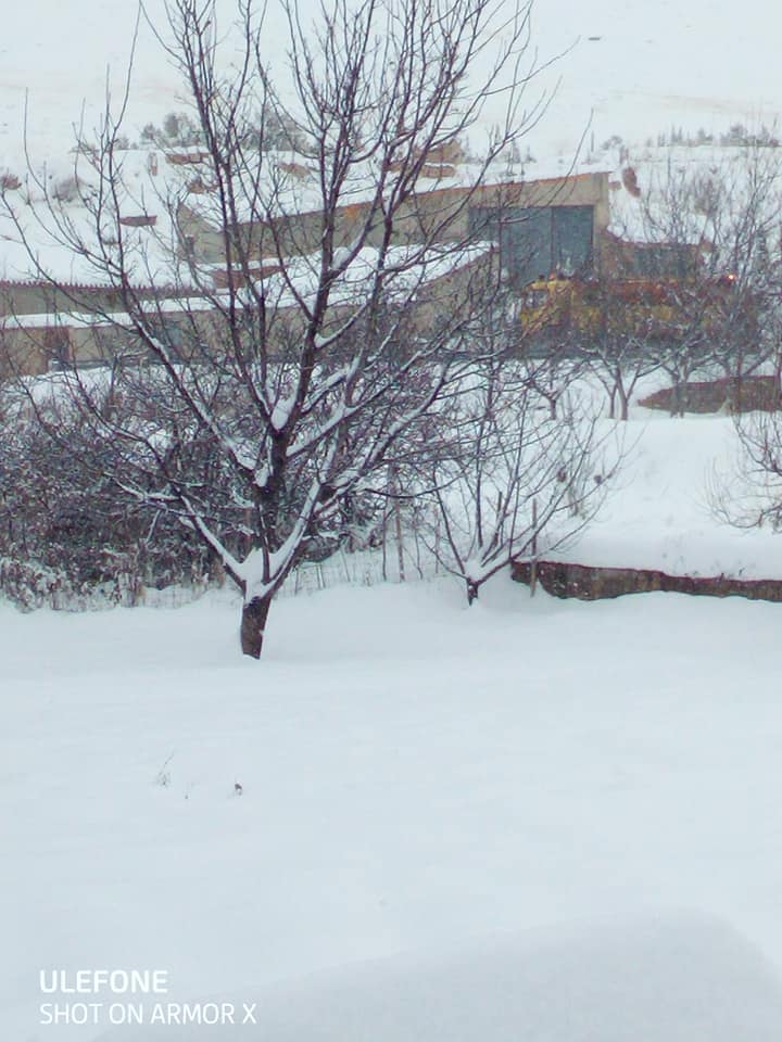 Blesa, nevada el 9 de enero de 2021. Foto N. Ghimpu
