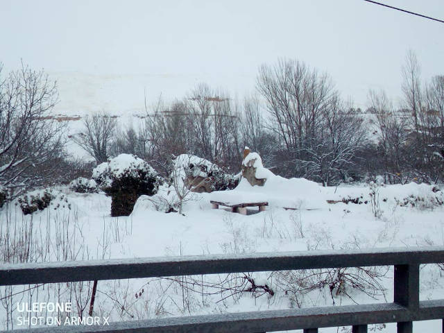 Blesa, nevada el 9 de enero de 2021. Foto N. Ghimpu
